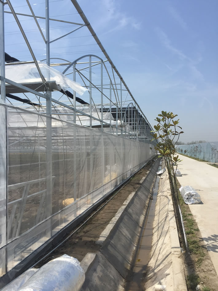 南通市金碩農(nóng)場